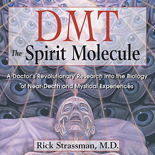 DMT The Spirit Molecule